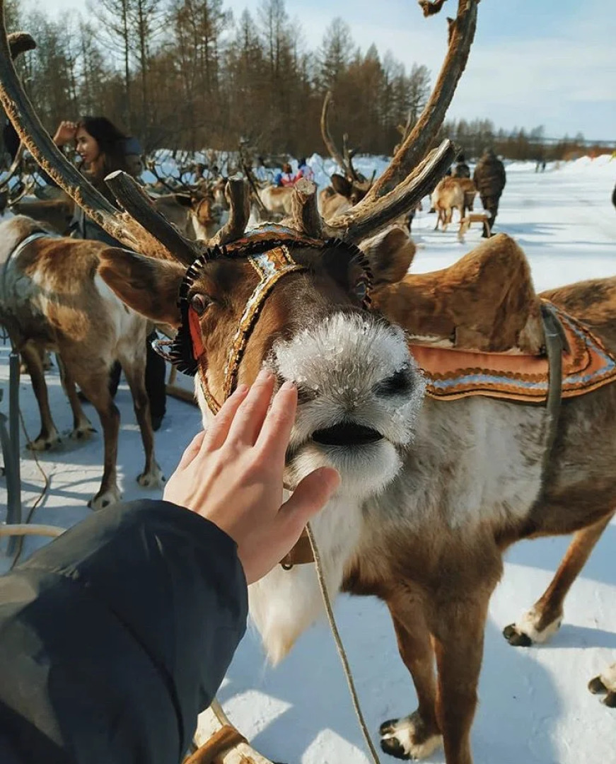 Кемпинг Sava Syo