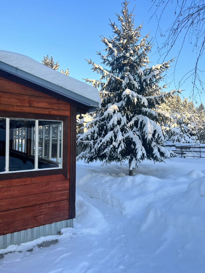 Частный дом Отдых на природе