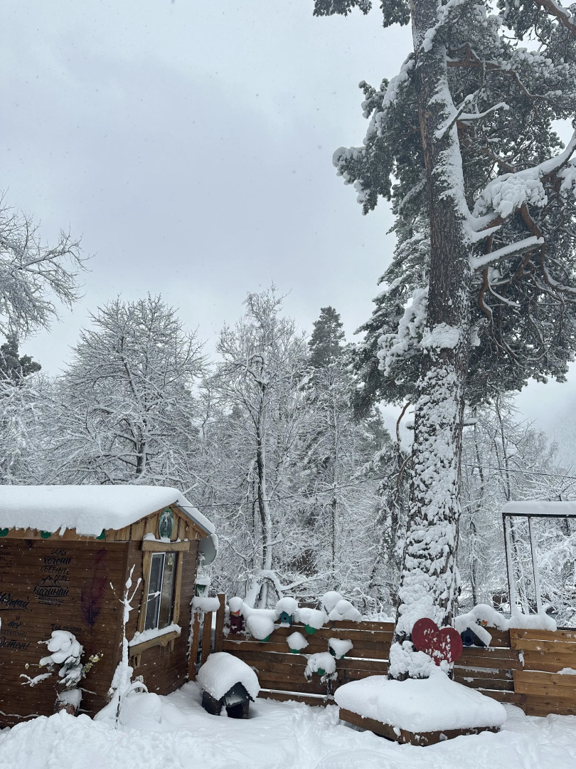 База отдыха Тайга-House