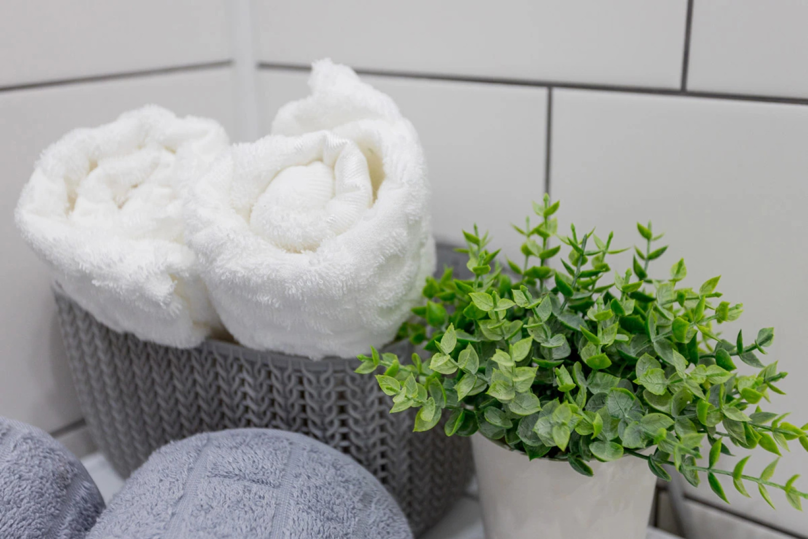 Апартаменты Посадского 40