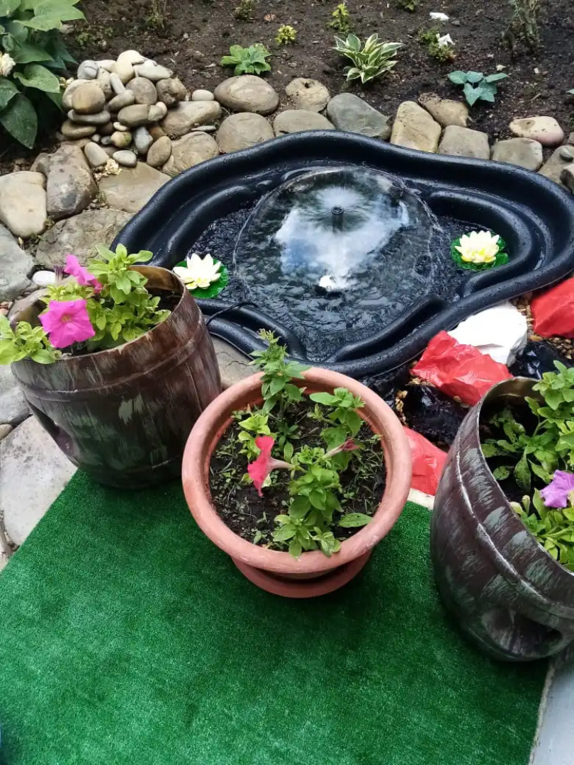 Гостевой дом ViVa