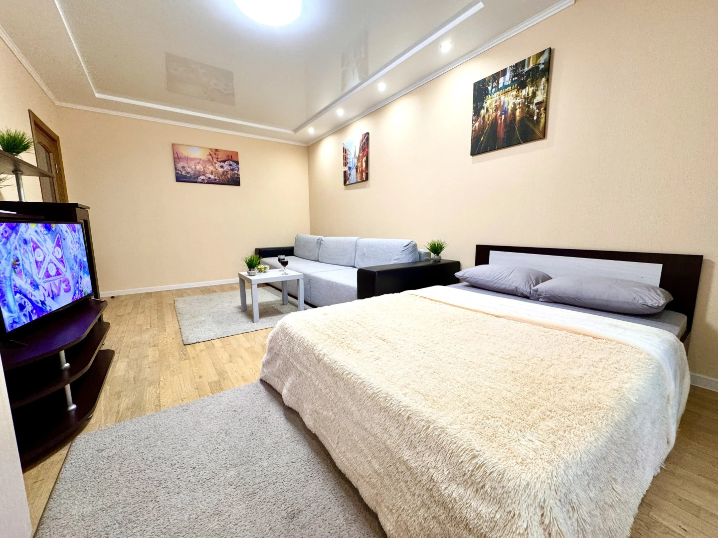 Апартаменты просторные двухкомнатные на Ленинской, рядом с набережной