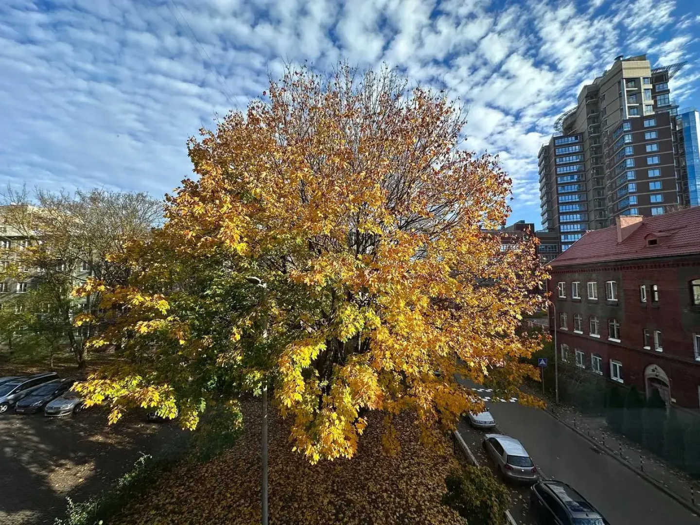 Квартира у Королевских ворот