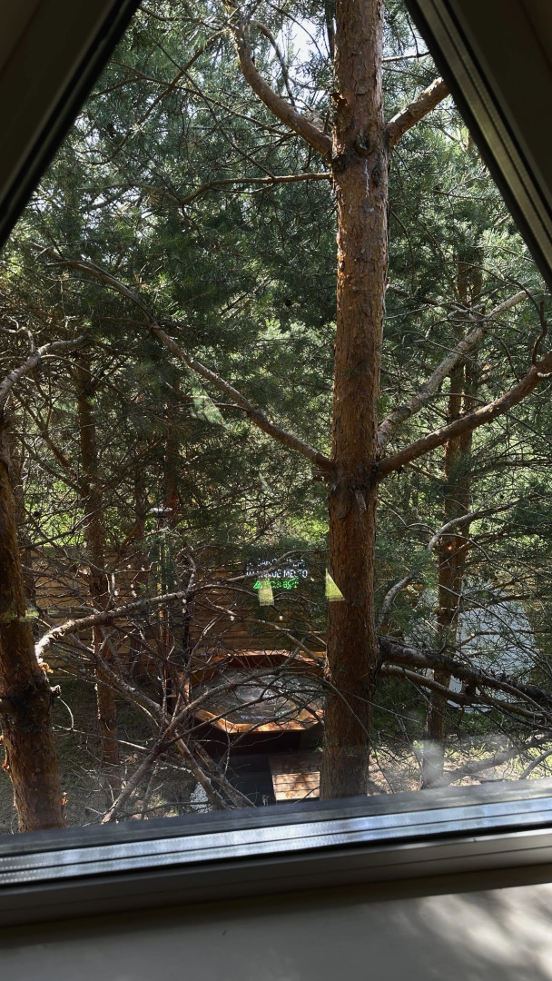 Частный дом на улице Сосновый бор 42