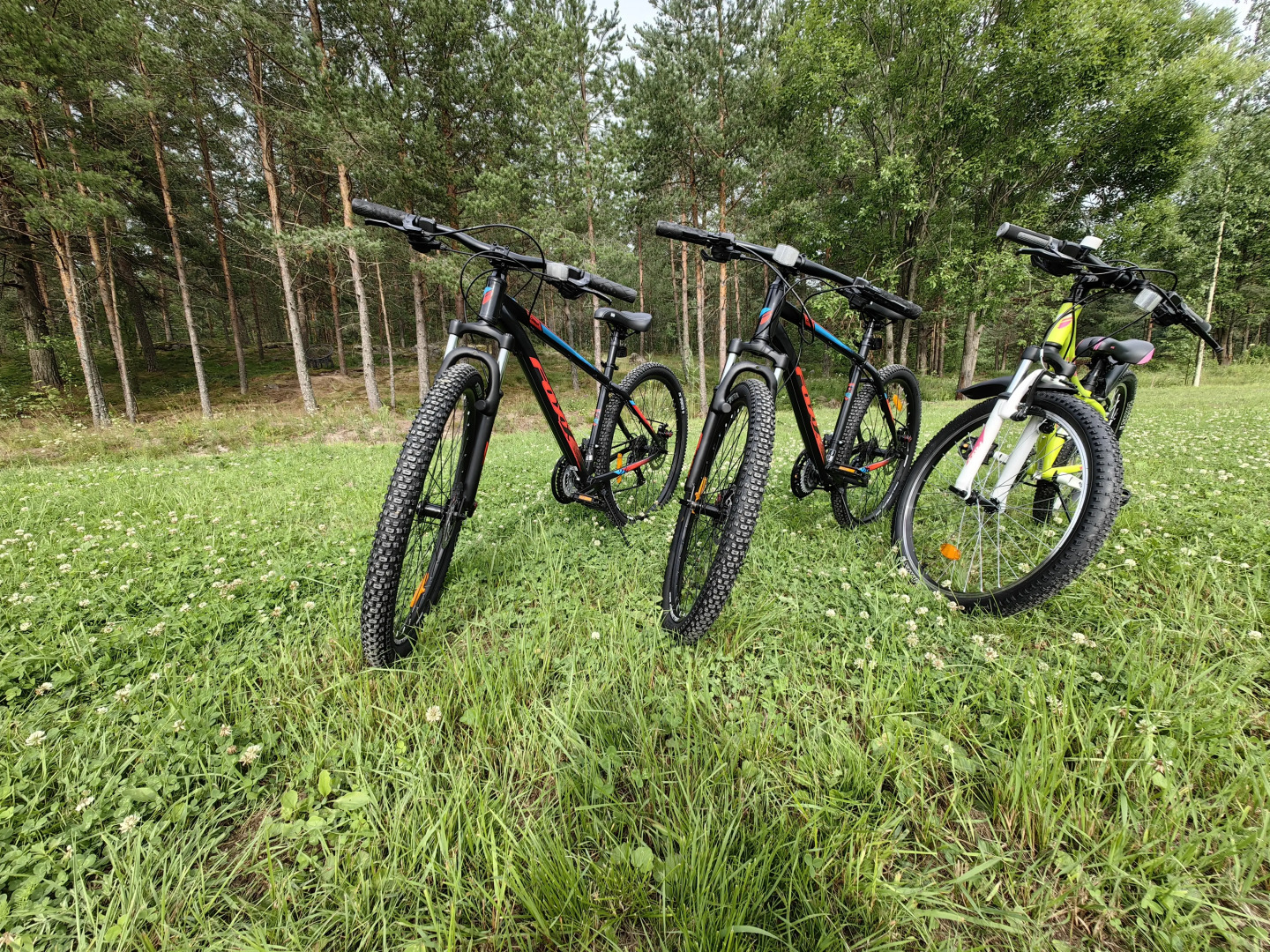 Гостевой Дом Павола