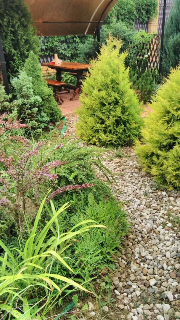 Гостевой дом Комплекс Заборье