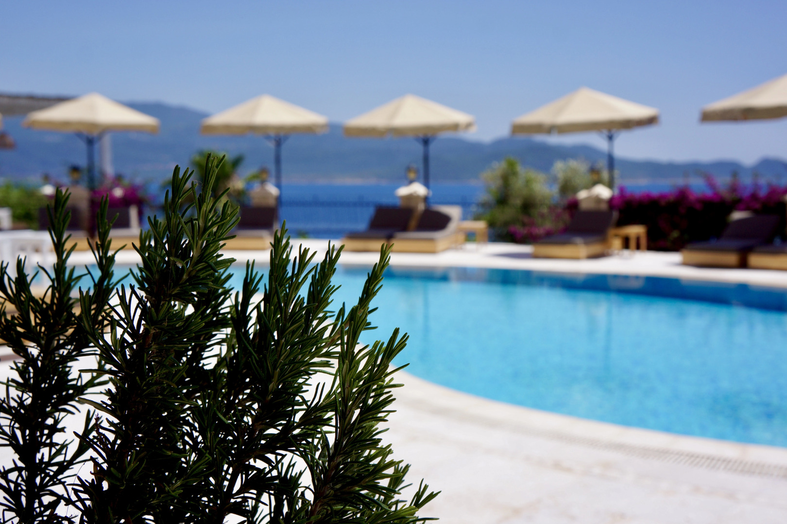 Отель Villa Tamara