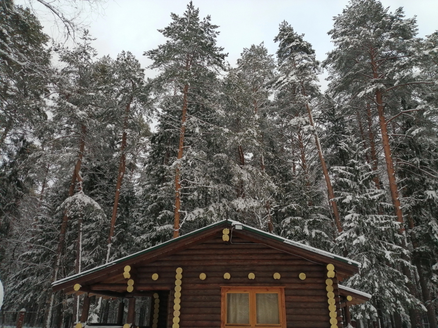 База отдыха Гостевой комплекс Тихий Лес