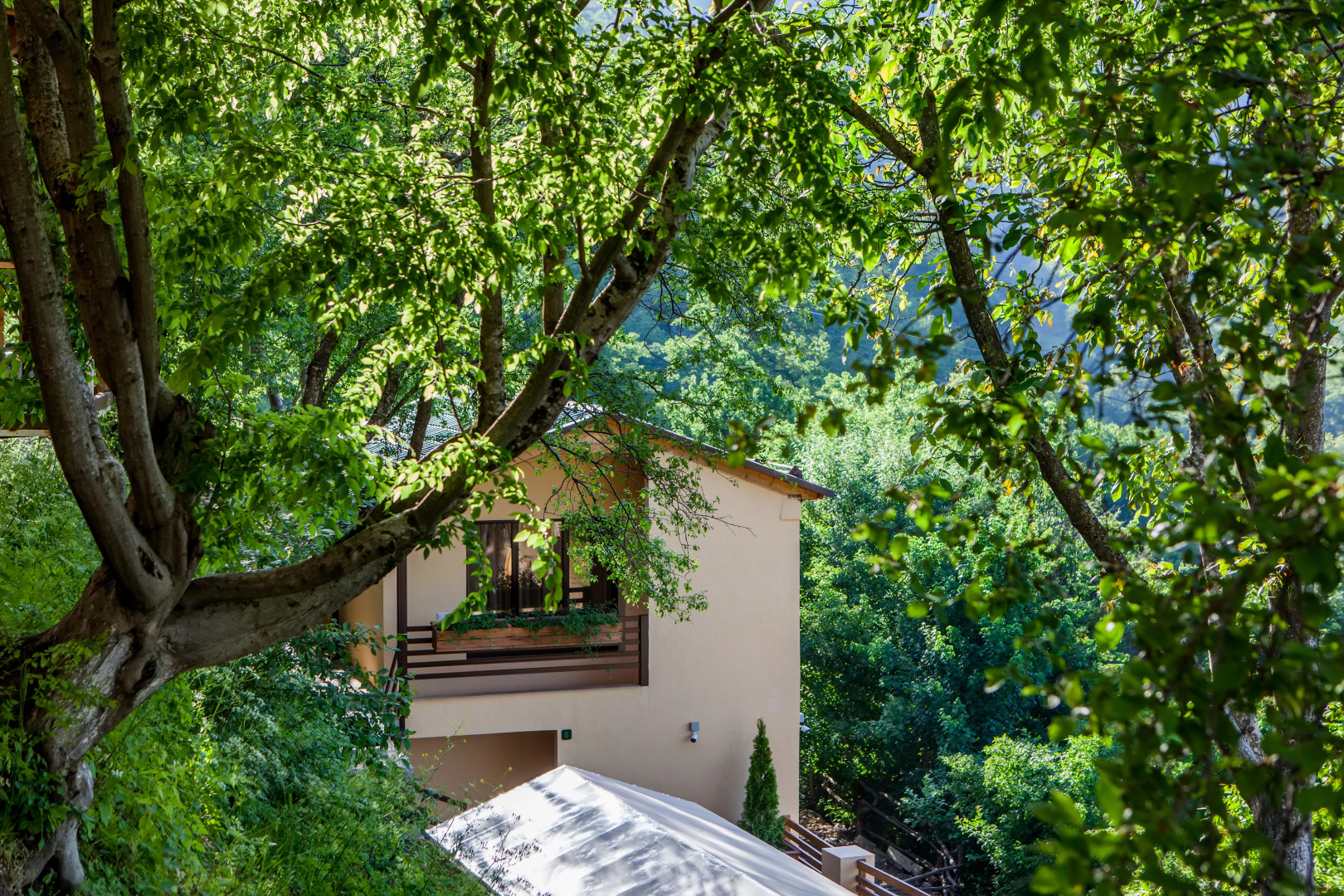 Гостевой дом Dilivita