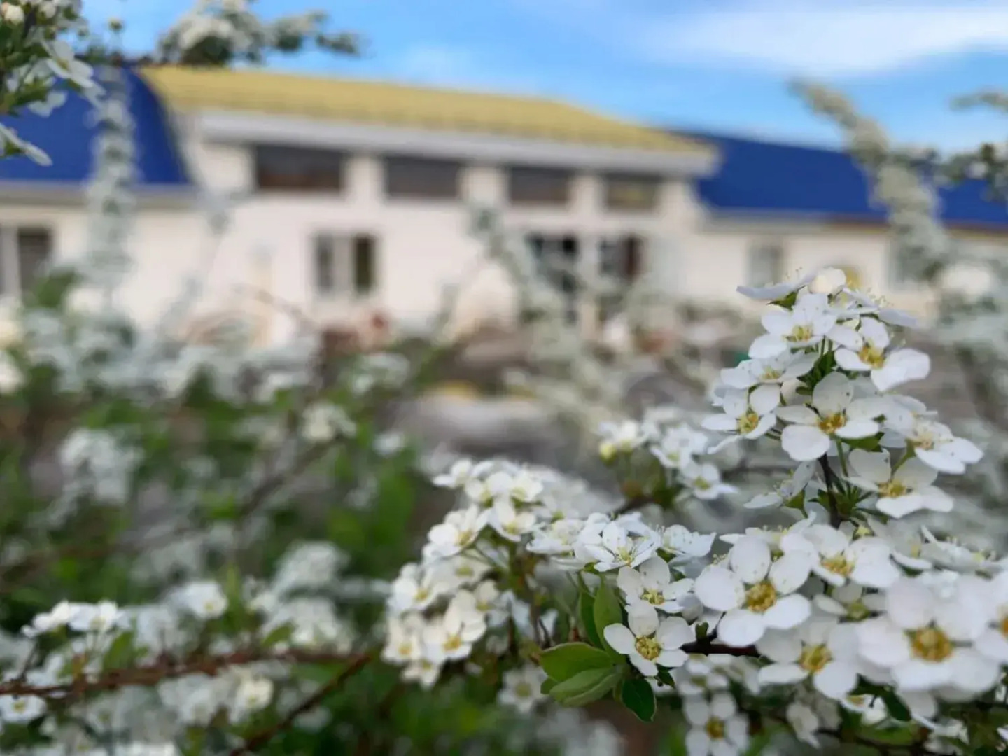 Отель Курский Соловей