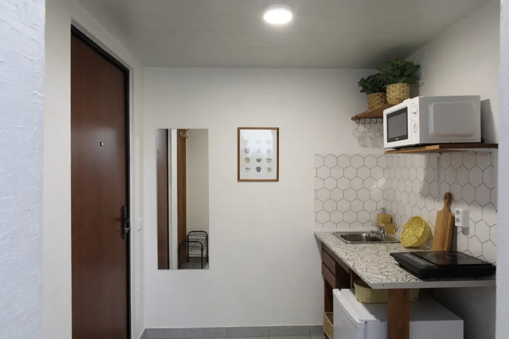 Квартира возле зоопарка 1