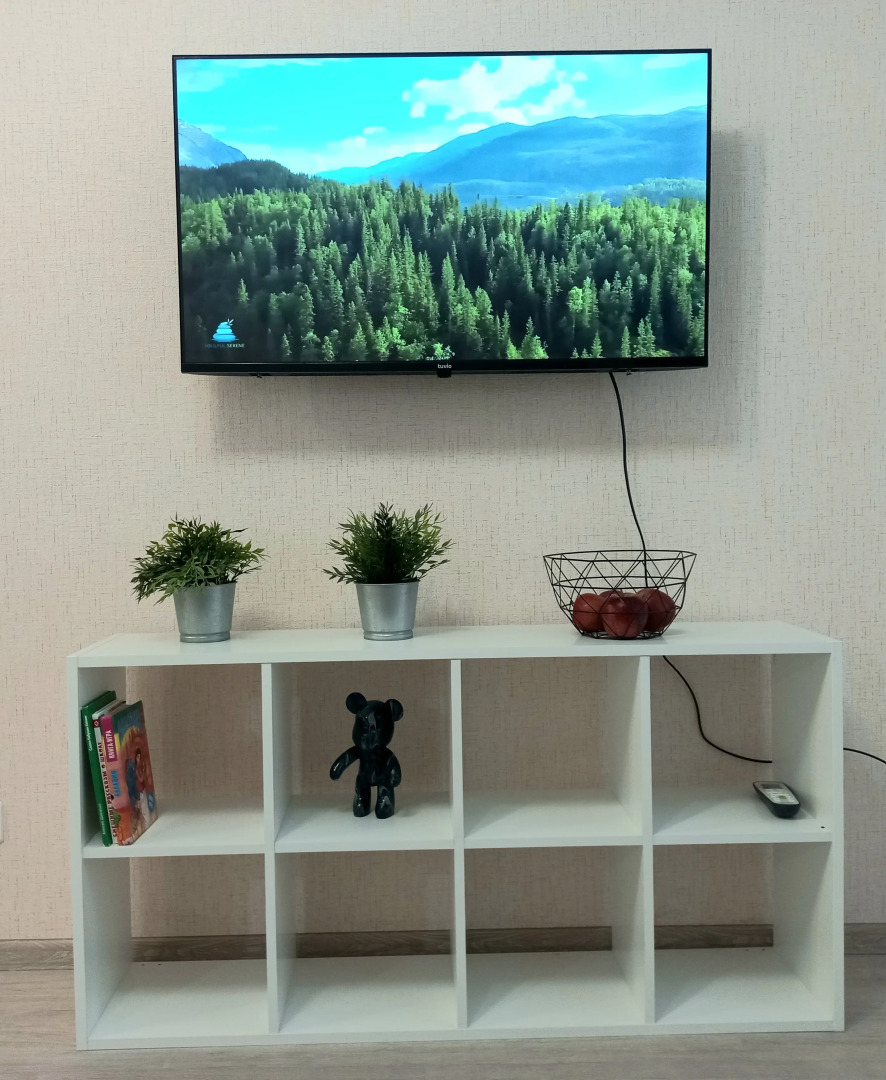 Квартира Уютная в центре на Ленина 88