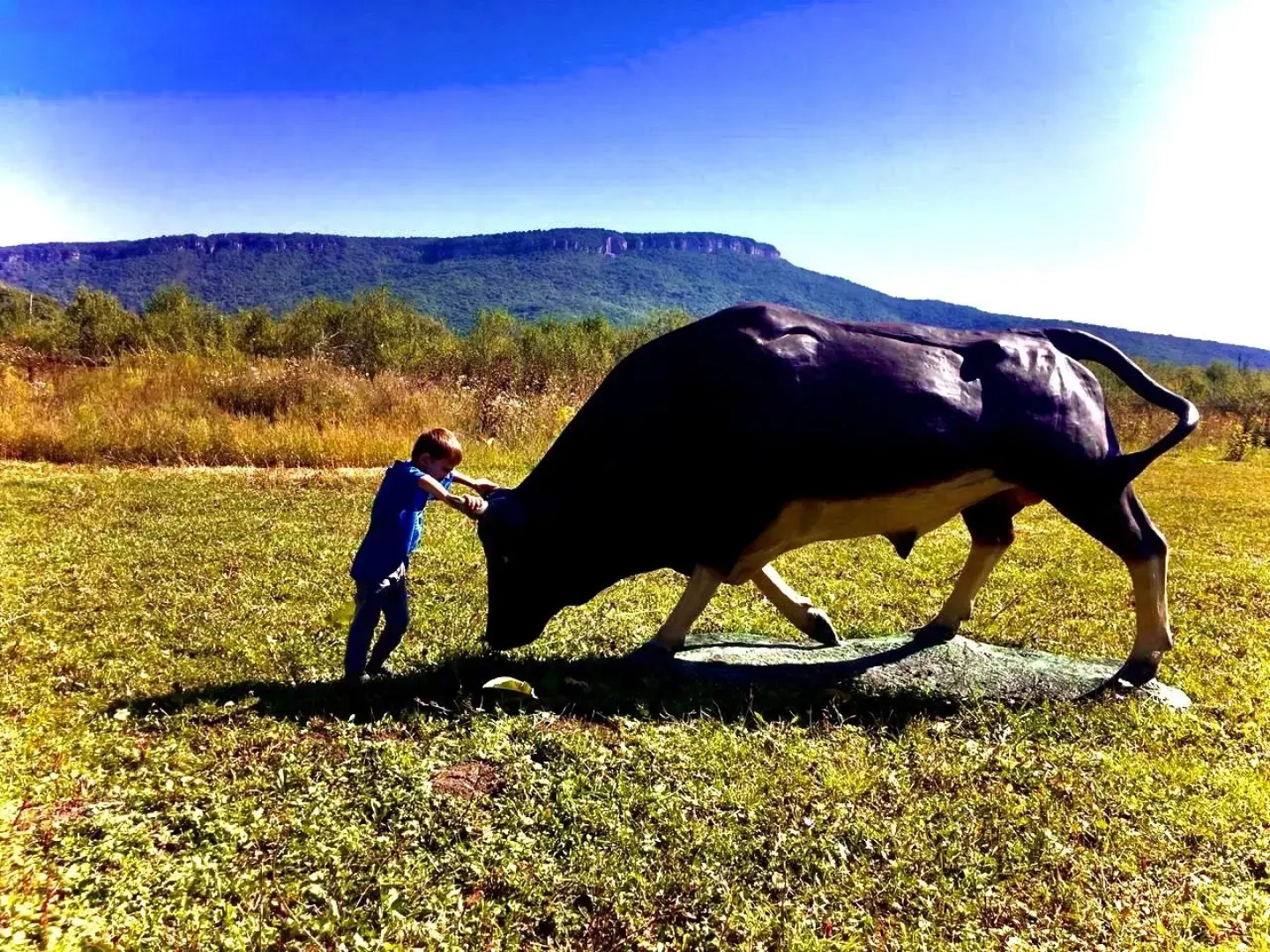 Гостевой дом Ранчо в горах Лаго-Наки
