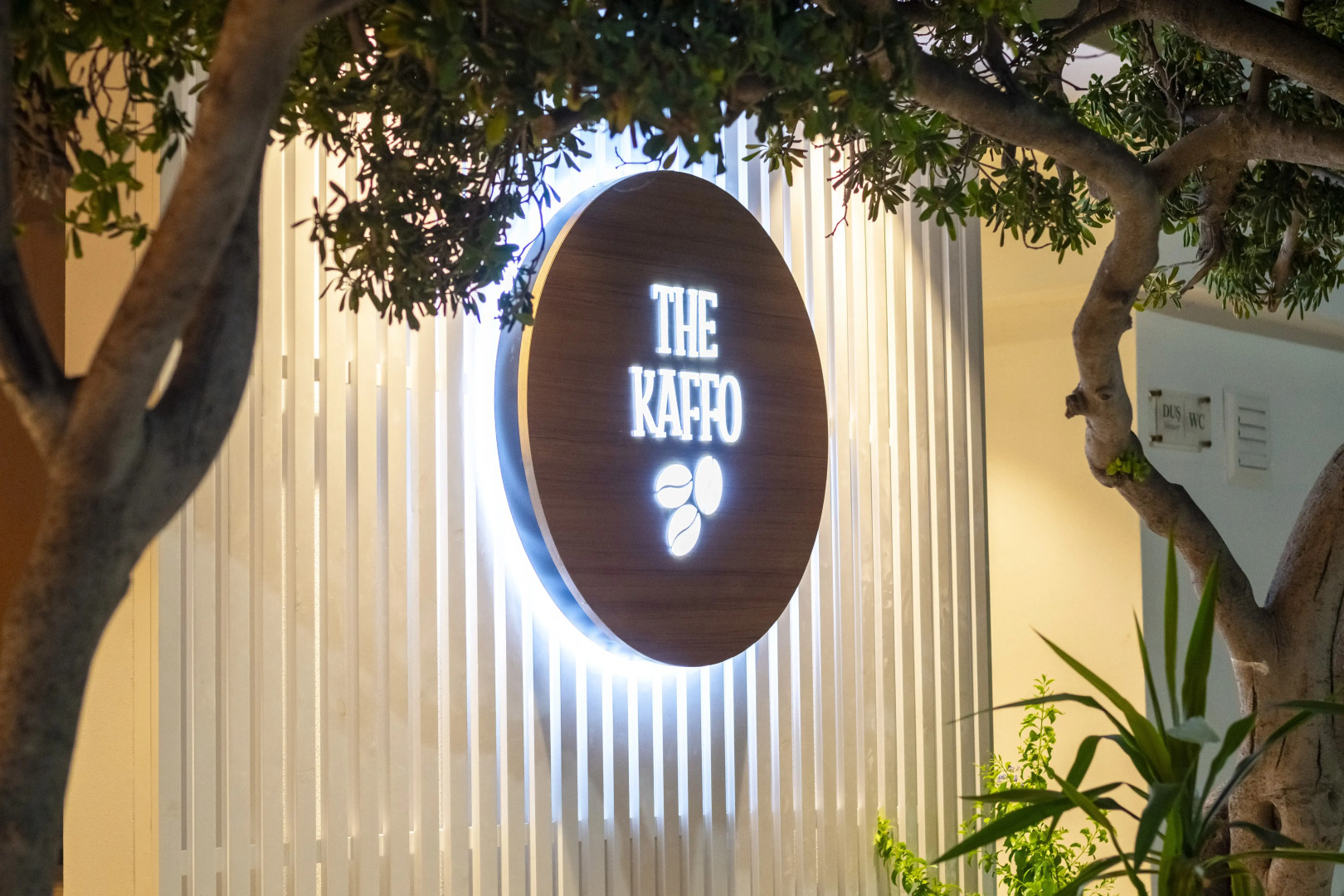 Отель Mimoza Beach