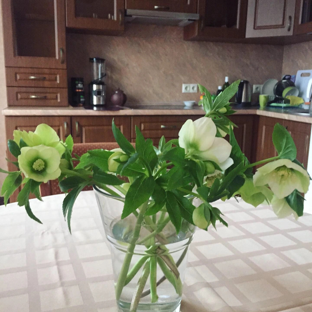 Гостевой дом Дом для гостей на Бризовой