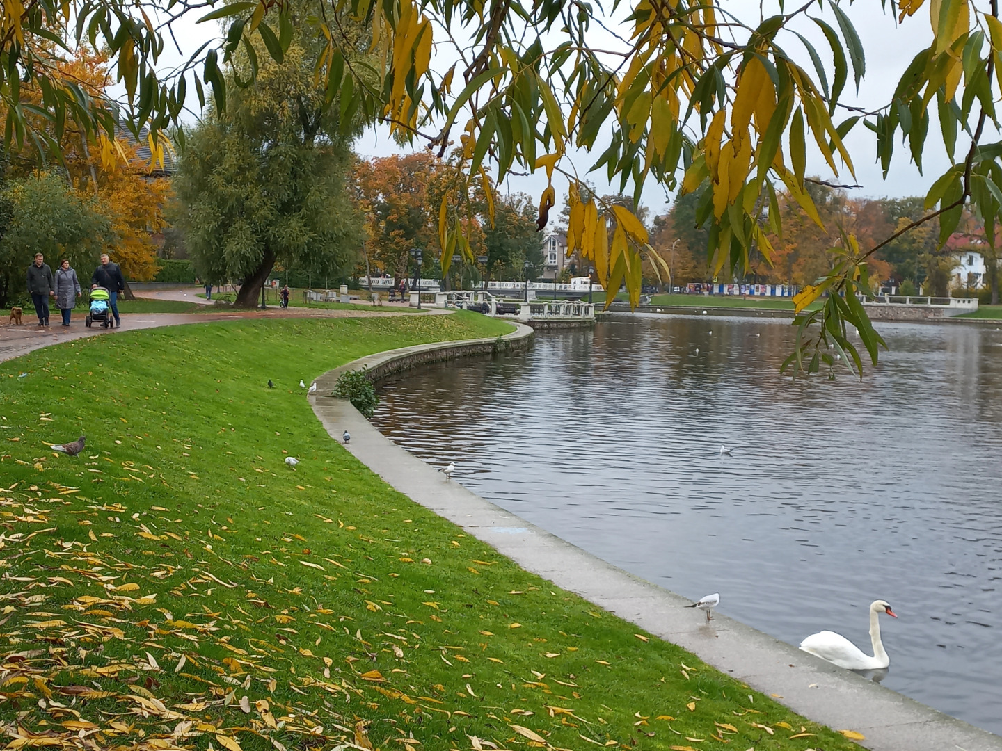 Квартира в центре у озера