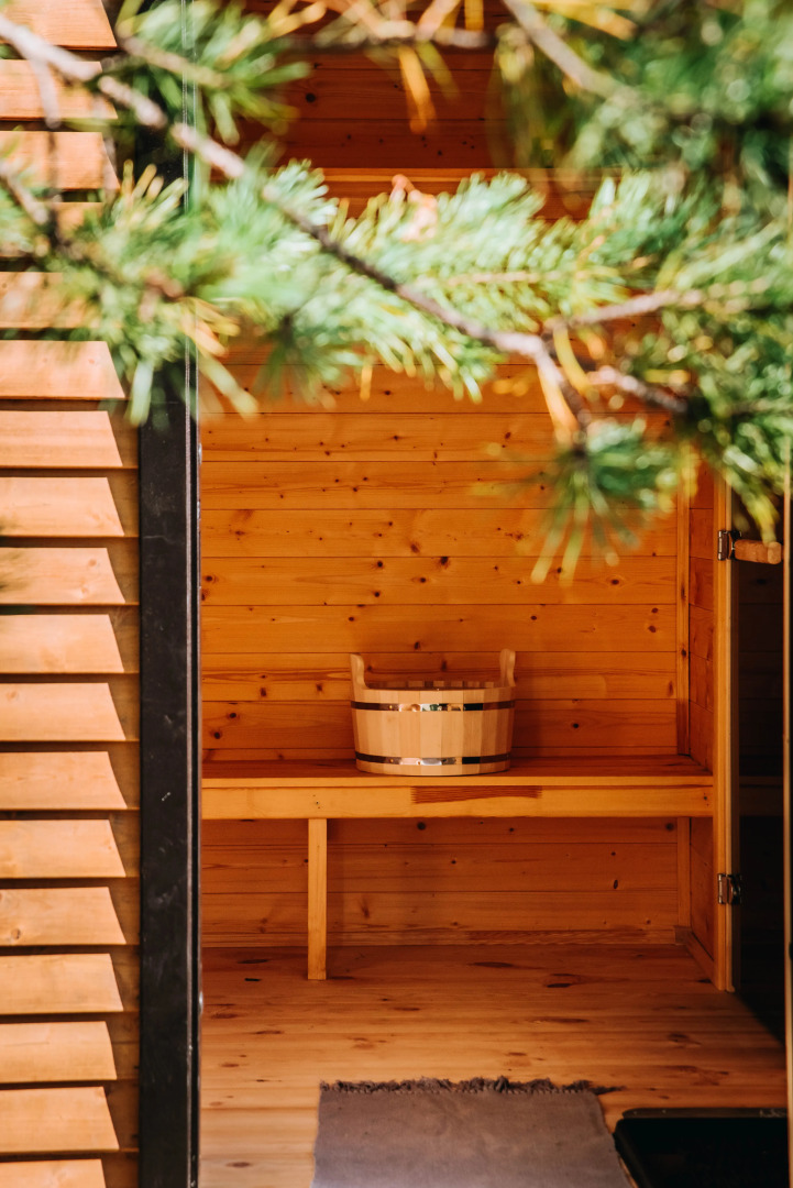 Гостевой дом Домик в Сосновом Бору с Баней