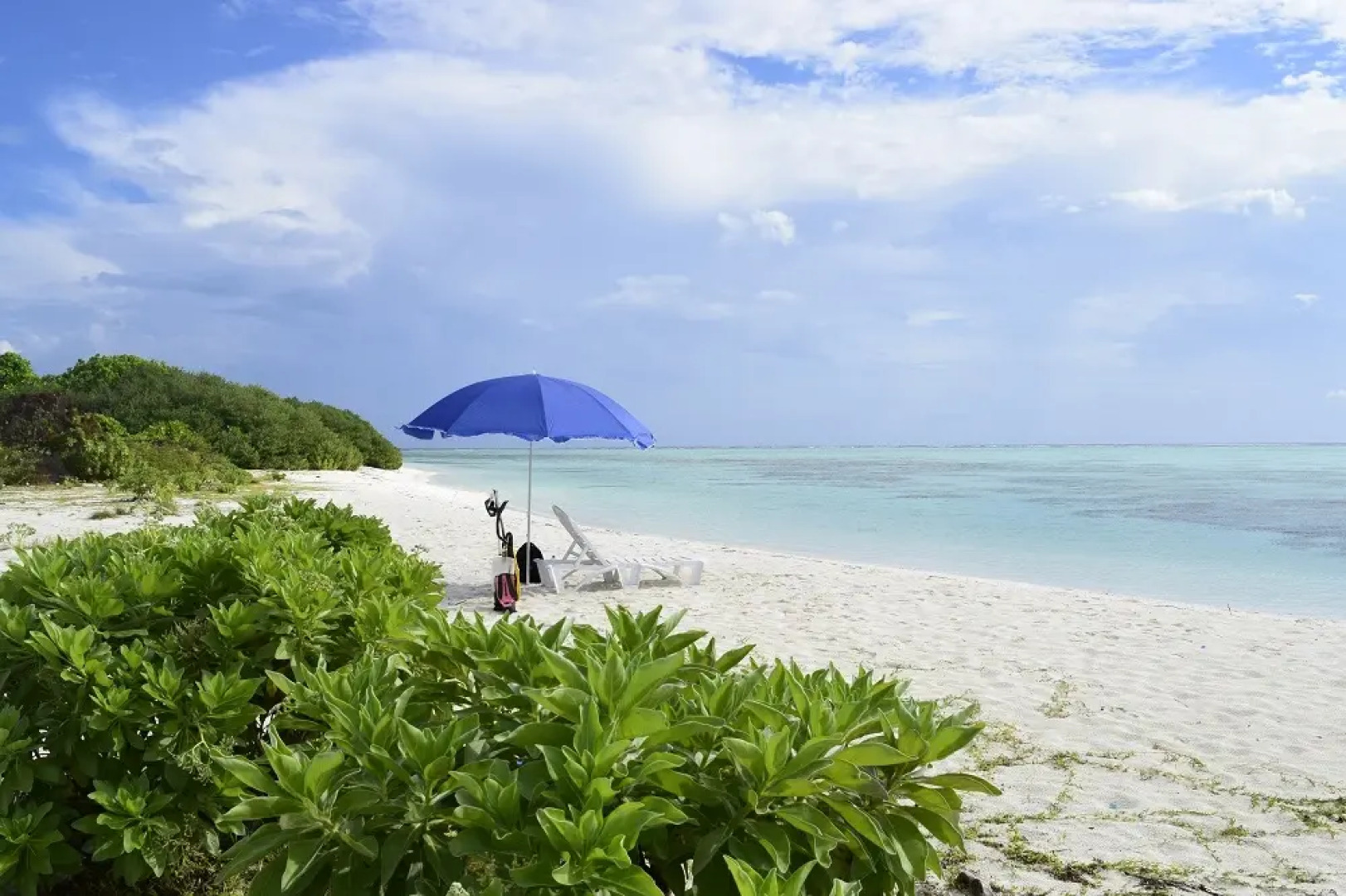 Гостевой дом Alvi Star Inn