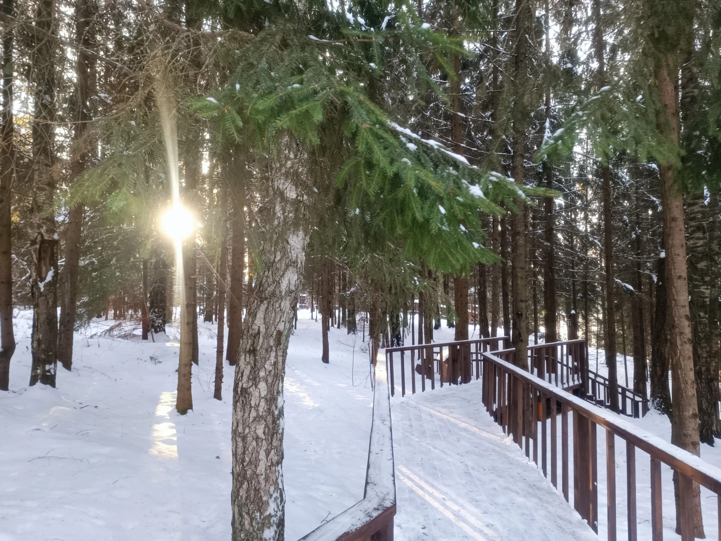 Отель Истра Холидей