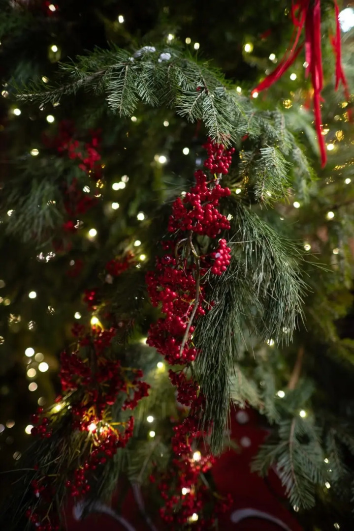 Отель Полиарт Парк