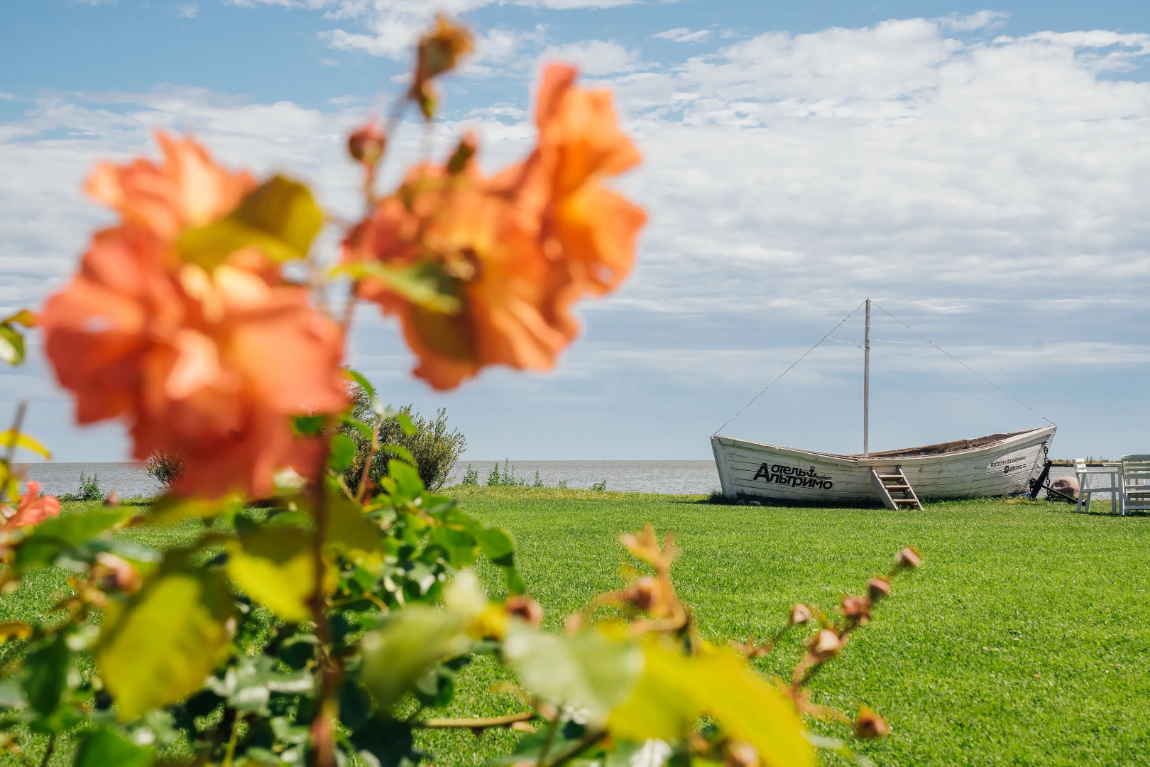 Отель Альтримо