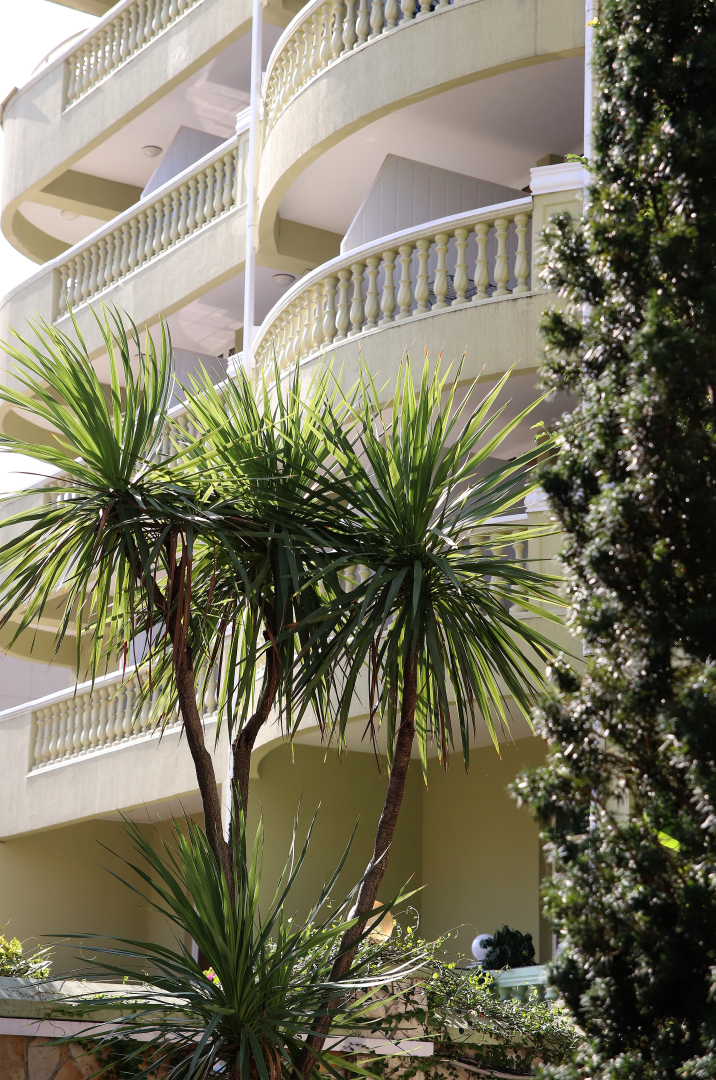 Отель Парадиз