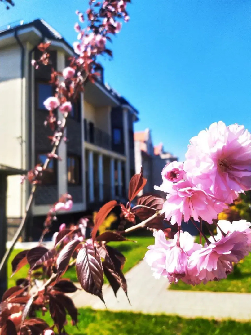 Отель Клевер