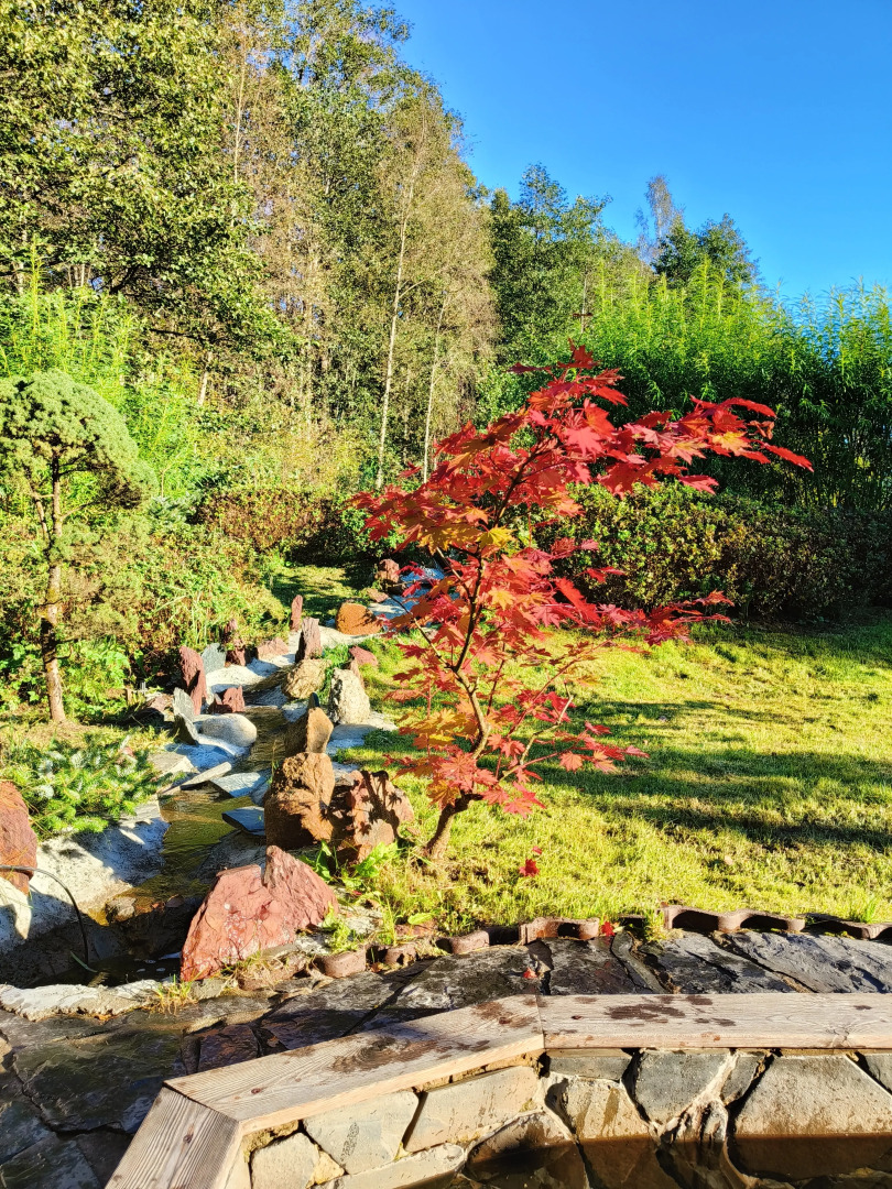 Шале с видом на сад