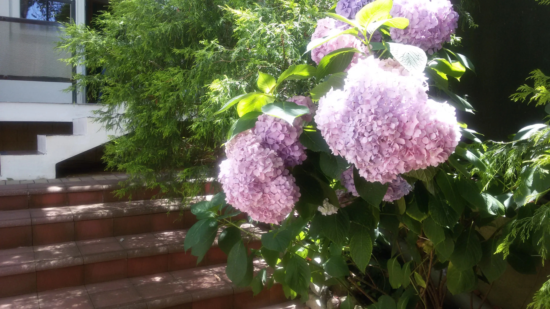 Гостевой дом Эвкалипт