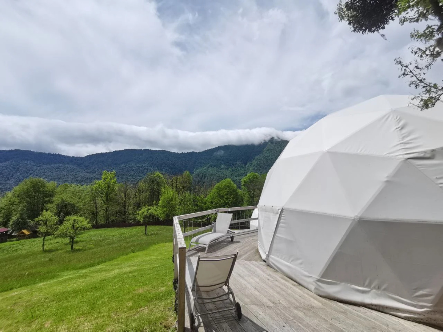 Глэмпинг МЕДОВЕЕВКА LIFE