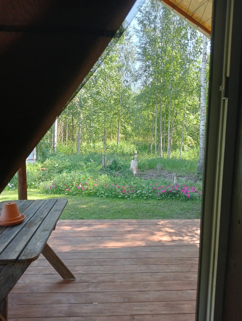 Частный дом Юккола - эко дом Сафари