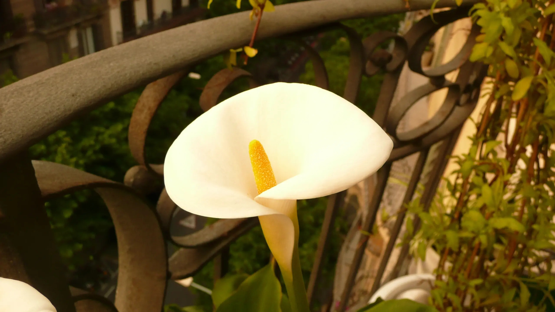 Апартаменты Platinum in Residential  Area