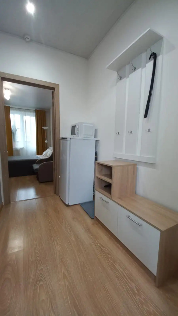 Уютные апартаменты на Пражской