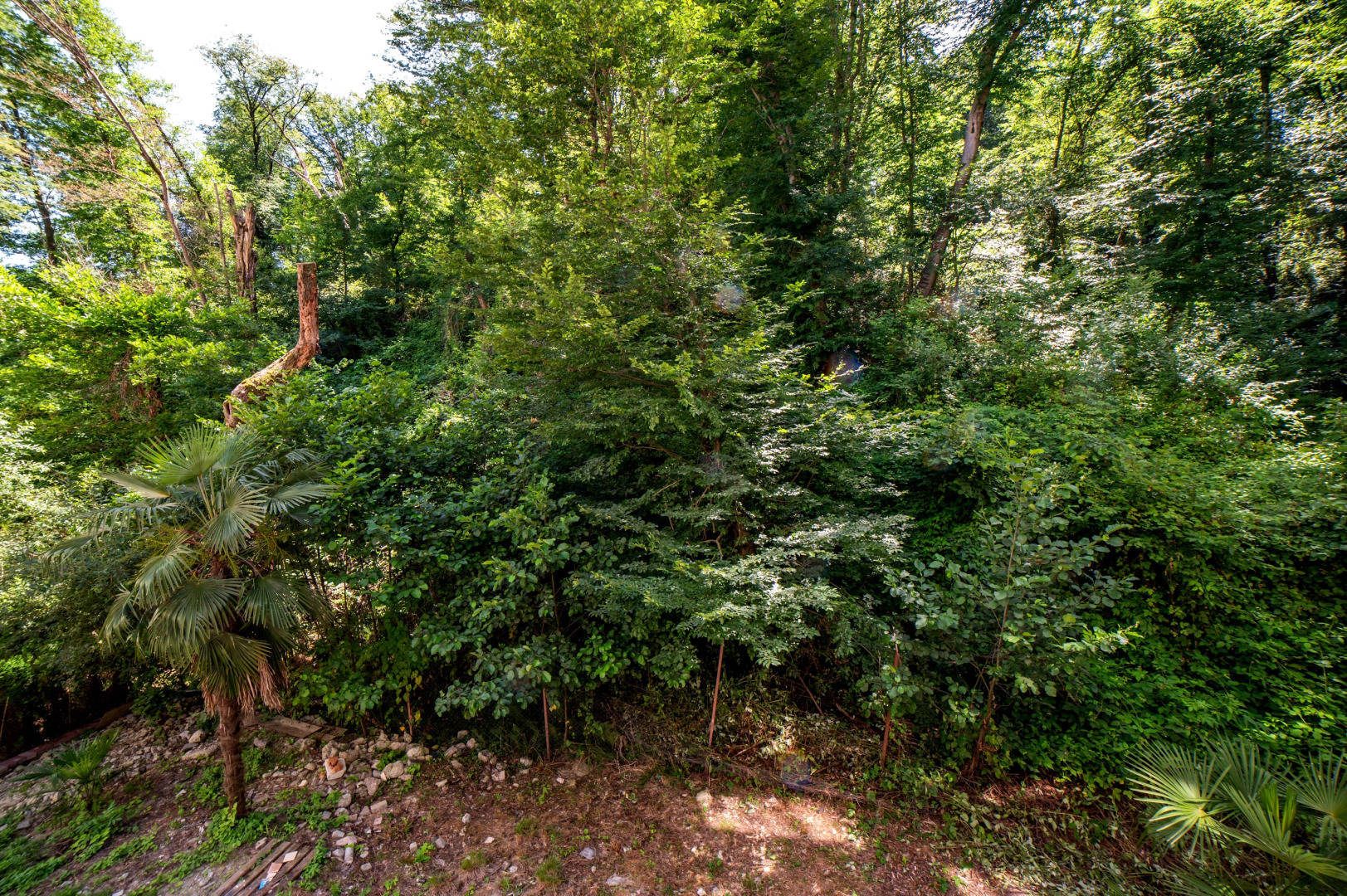 Апартаменты Sun City в центре Сочи