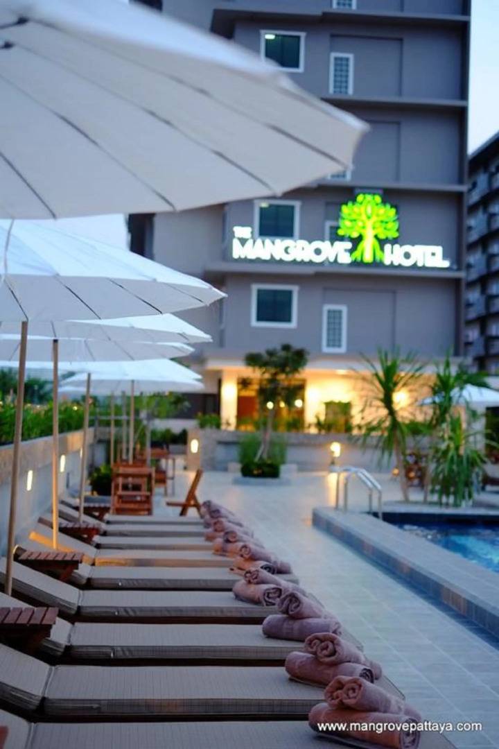 Отель The Mangrove