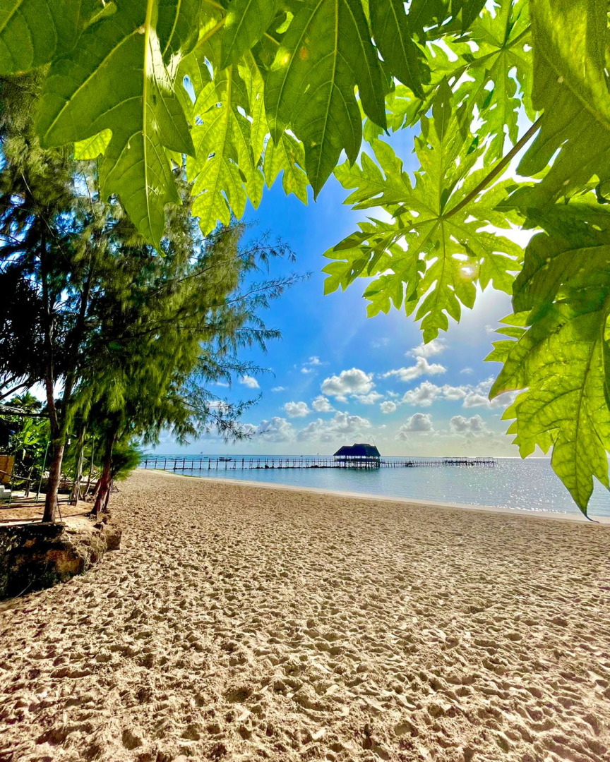 Отель Five Palms