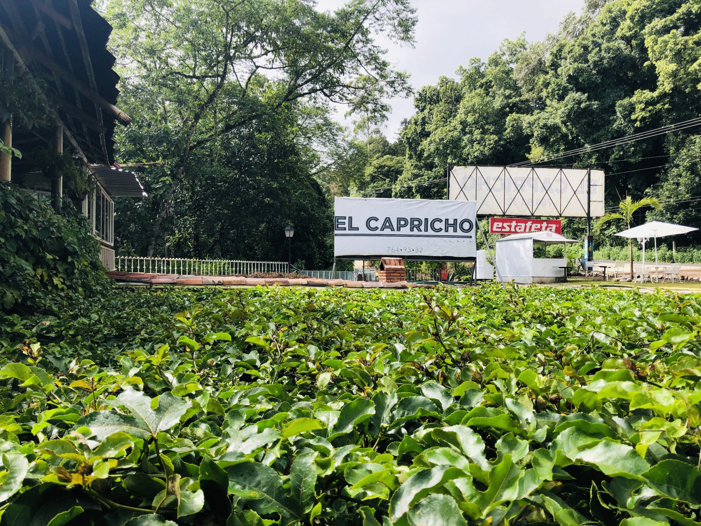 Отель El Capricho Rotamundos