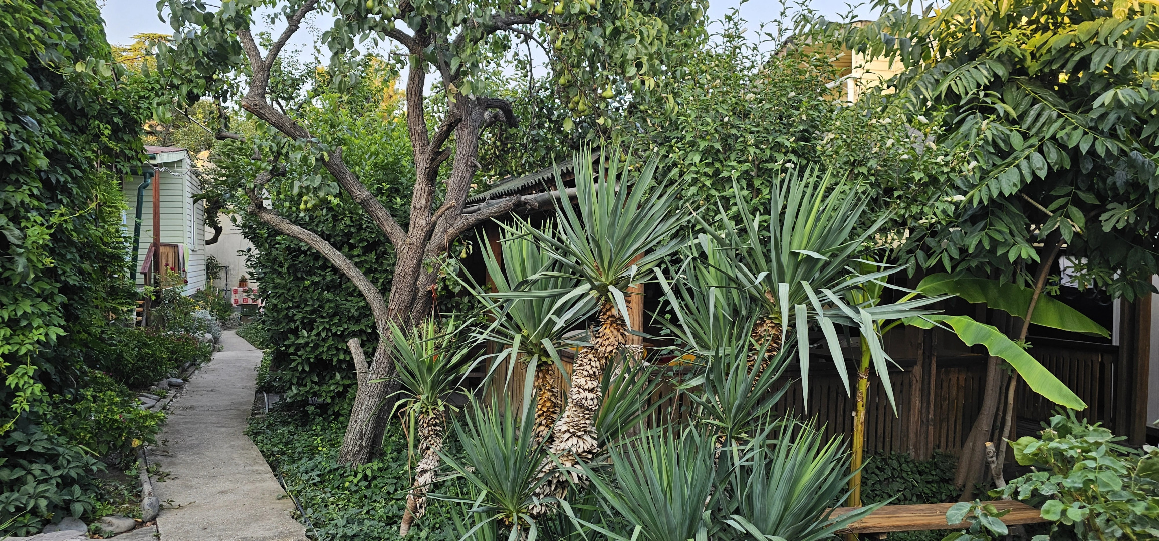 Гостевой Дом Янаки