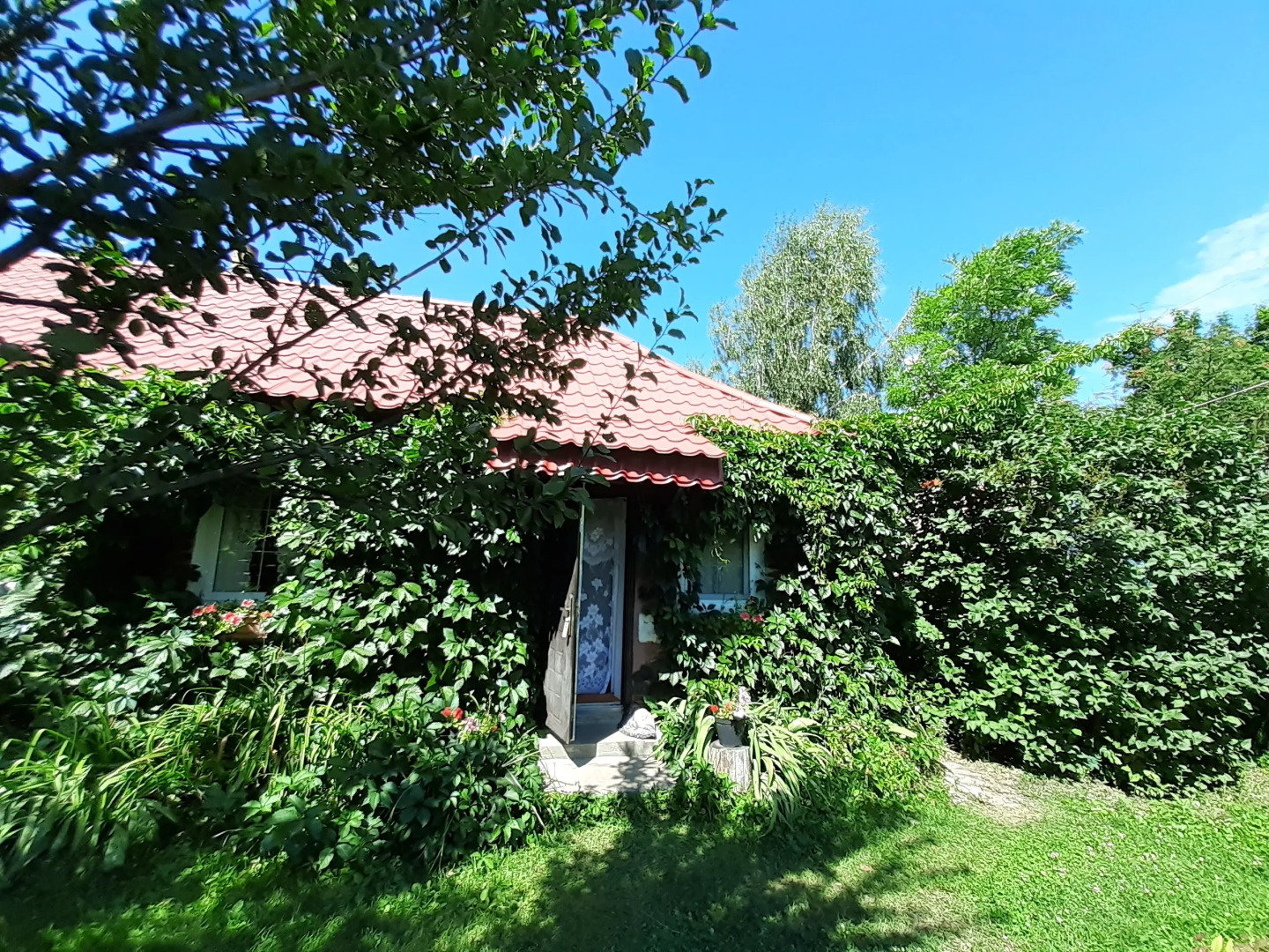 Частный дом Гостевой дом Усадьба Теплый хутор