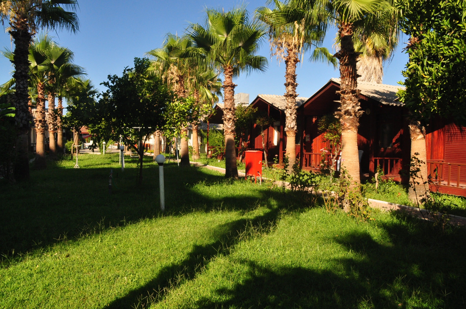 Отель Dream Park Bungalow