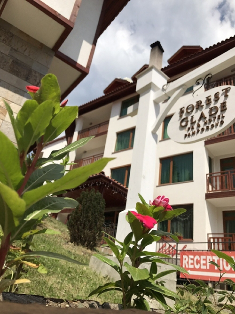 Отель Forest Glade