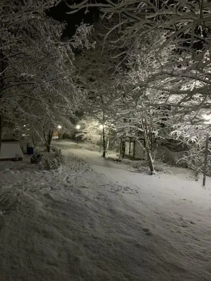 Шале Золотой родник