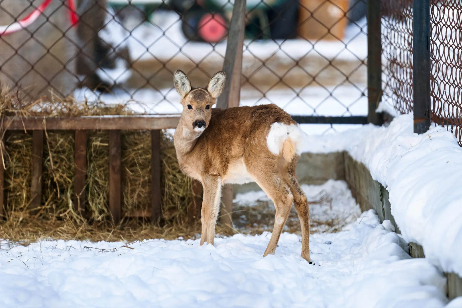 Отель Карым-Муны
