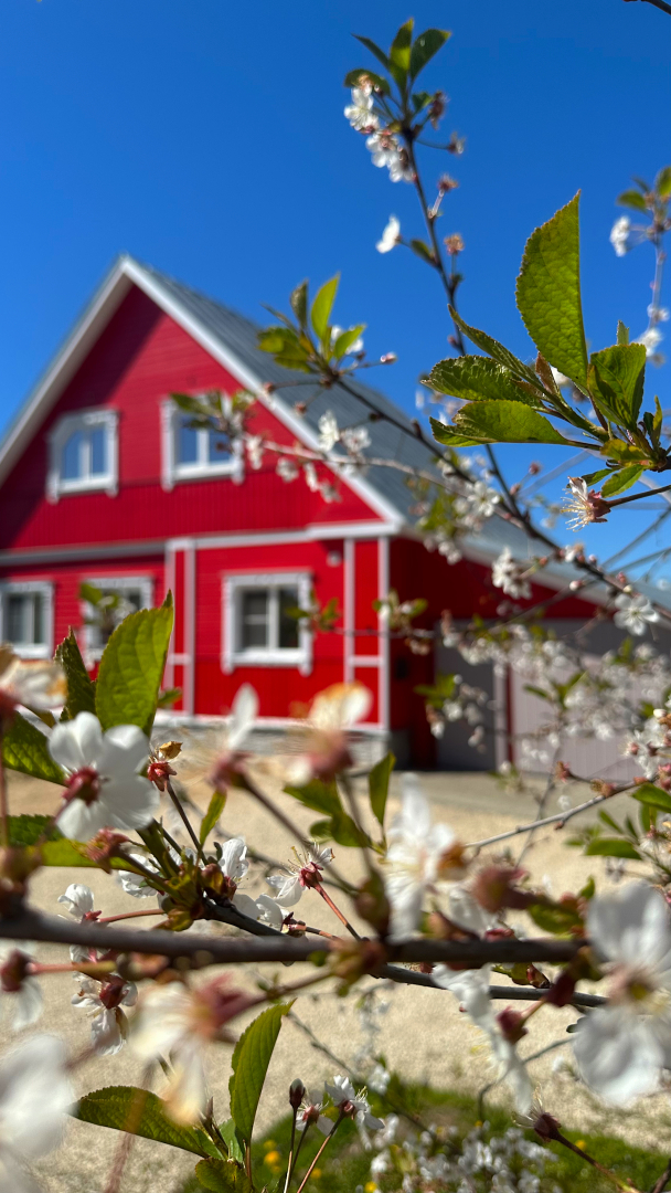 Гостевой дом Александровский