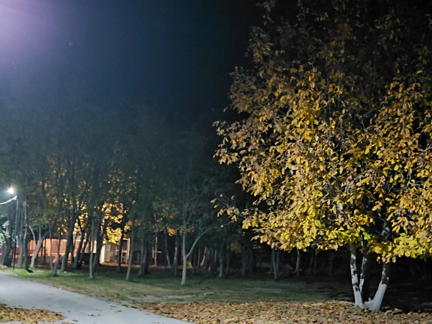 Апарт-отель Rancho Uplistsikhe