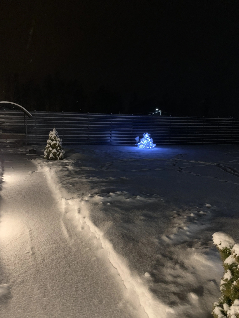 Вилла Sosna Igora House