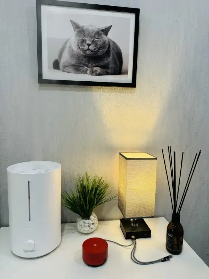 Апартаменты с видом на Москву 8