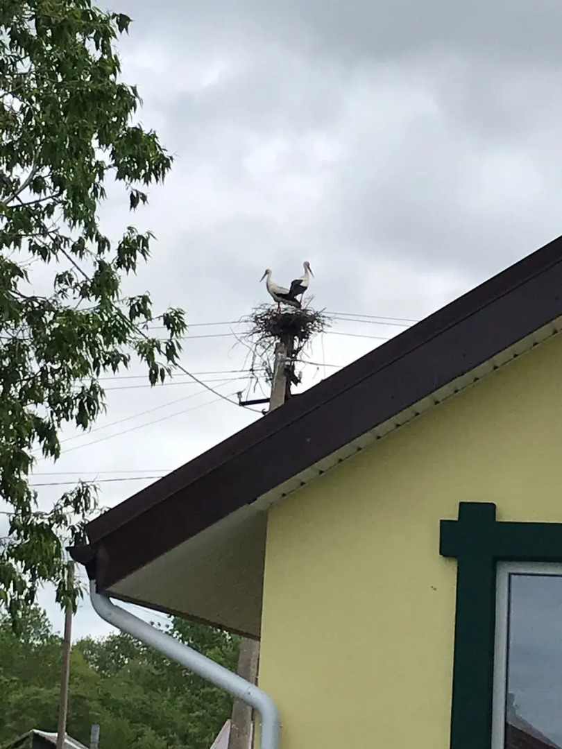 Гостевой дом Спицино 135