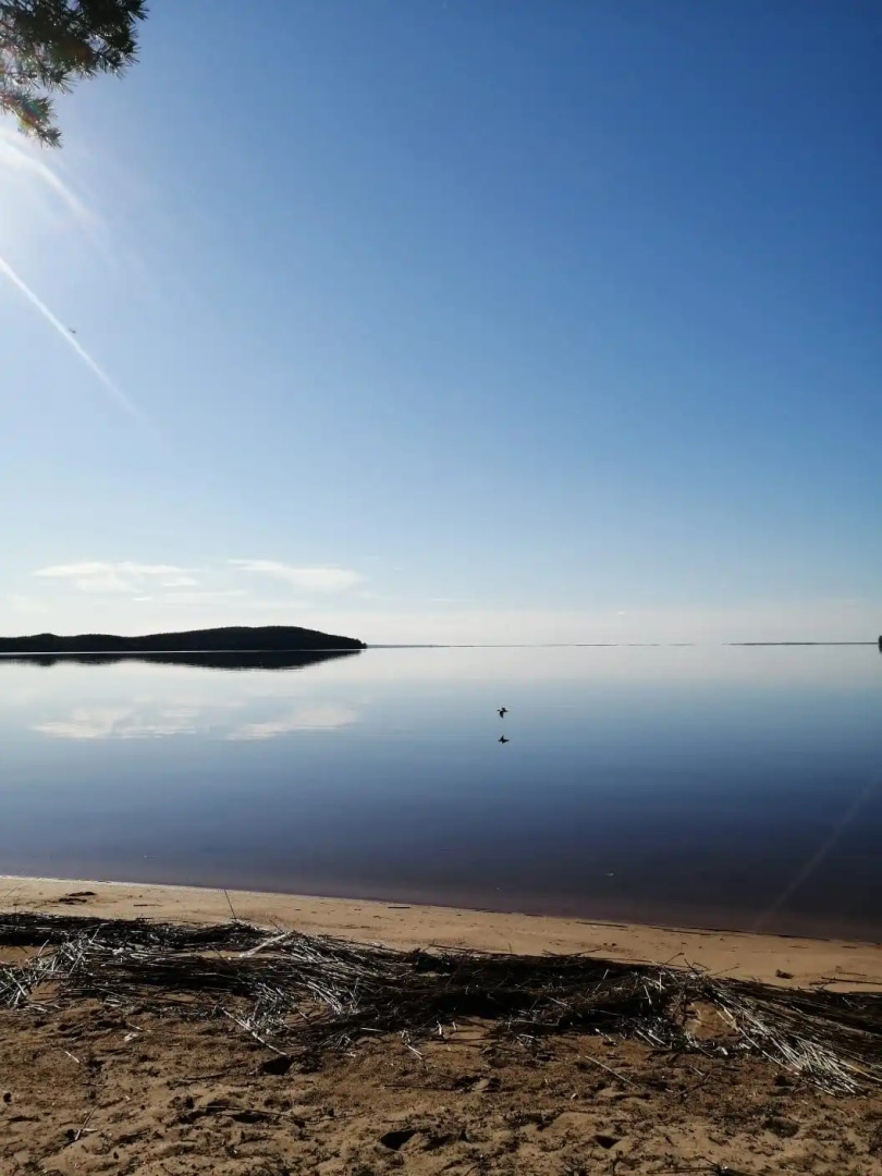 Гостевой дом Меличуярви Щука