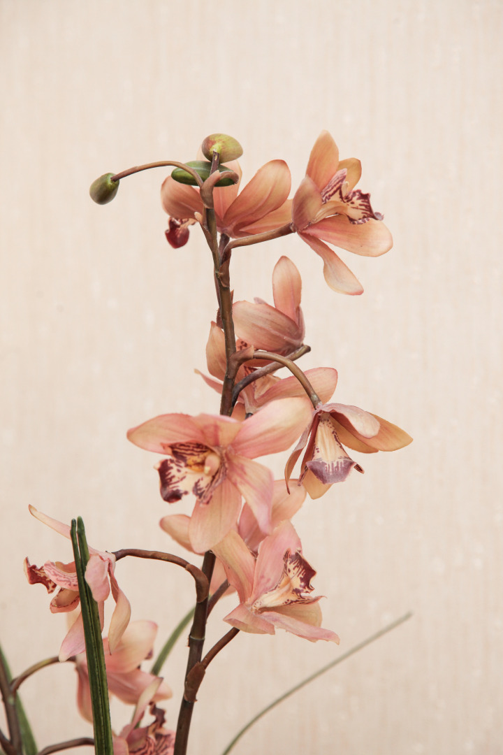 Отель Волга